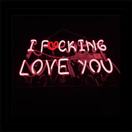 I F♥CKING LOVE YOU